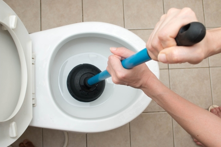 How to Unclog a Toilet: Pro Techniques 