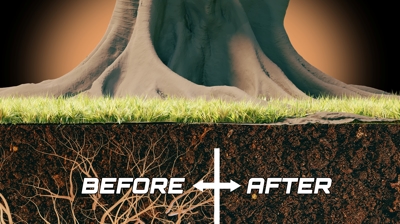 Before & After with LightRay Technoloy Photo