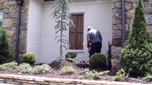 Drain Cleaning (Real)